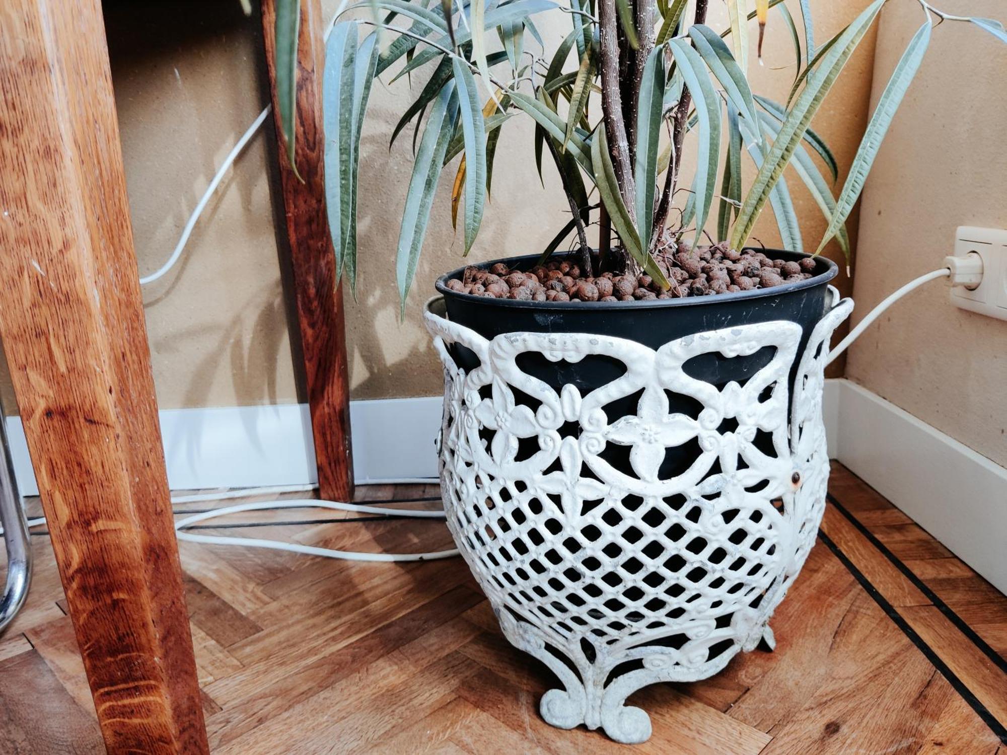 B&B House Of Straw Amsterdam Bagian luar foto